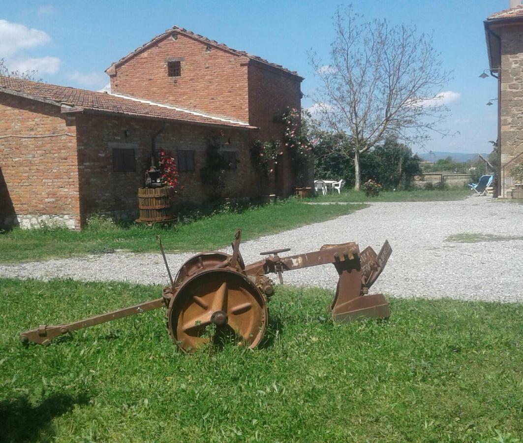 Podere Alberello トッリータ・ディ・シエーナ エクステリア 写真